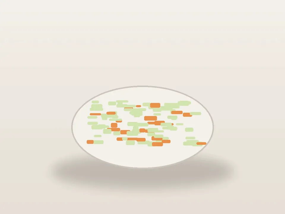 Illustrative homemade Coleslaw-style
